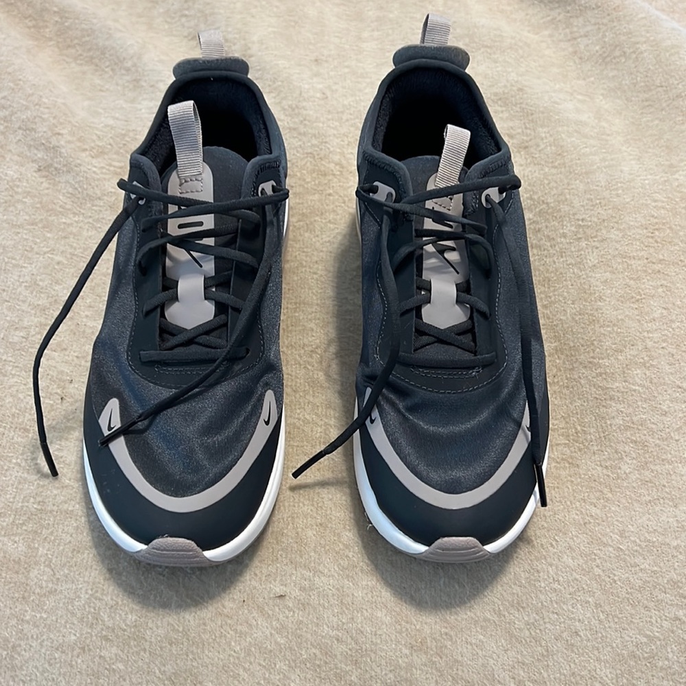Nike Air Max walking shoes.